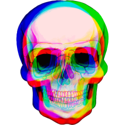 3D Skull