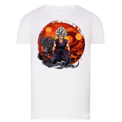 Sangoku Dragon Feu IA 11